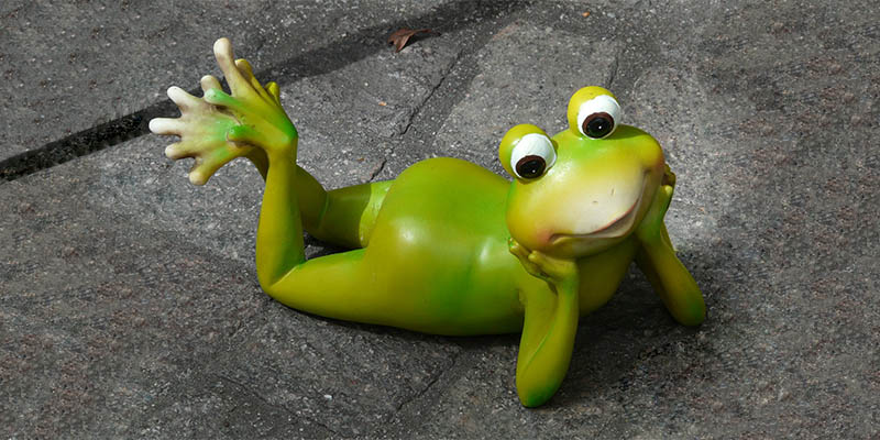 3d-animated-frog-image.jpg